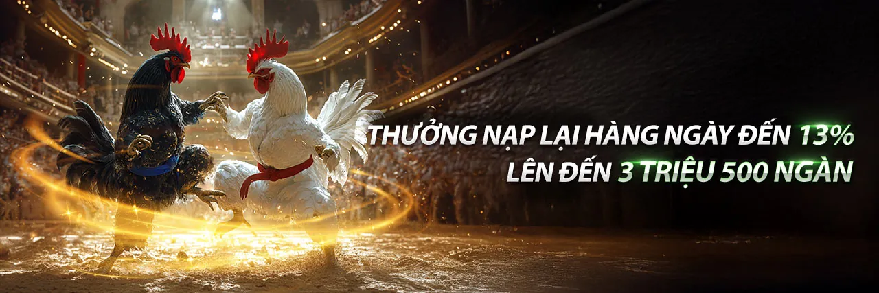 Sân vận động bóng đá rực rỡ